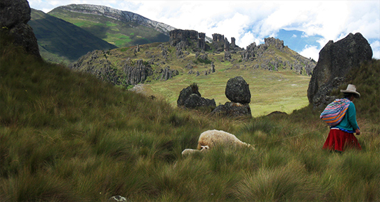 Cajamarca - Andenregion in Peru